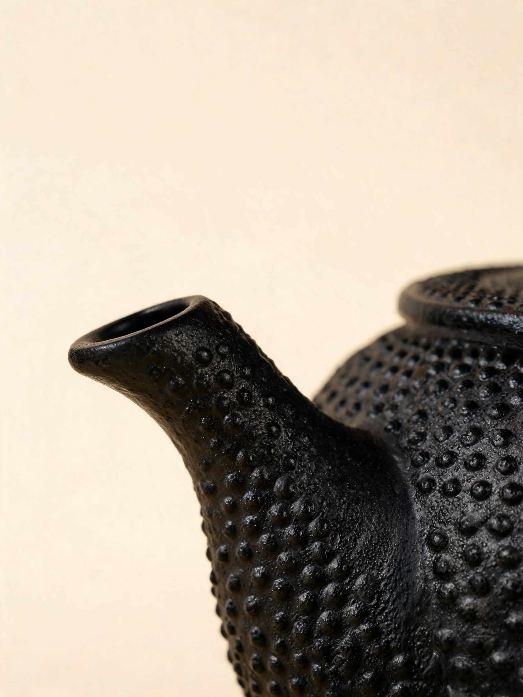 Hira Cast Iron Tea Pot