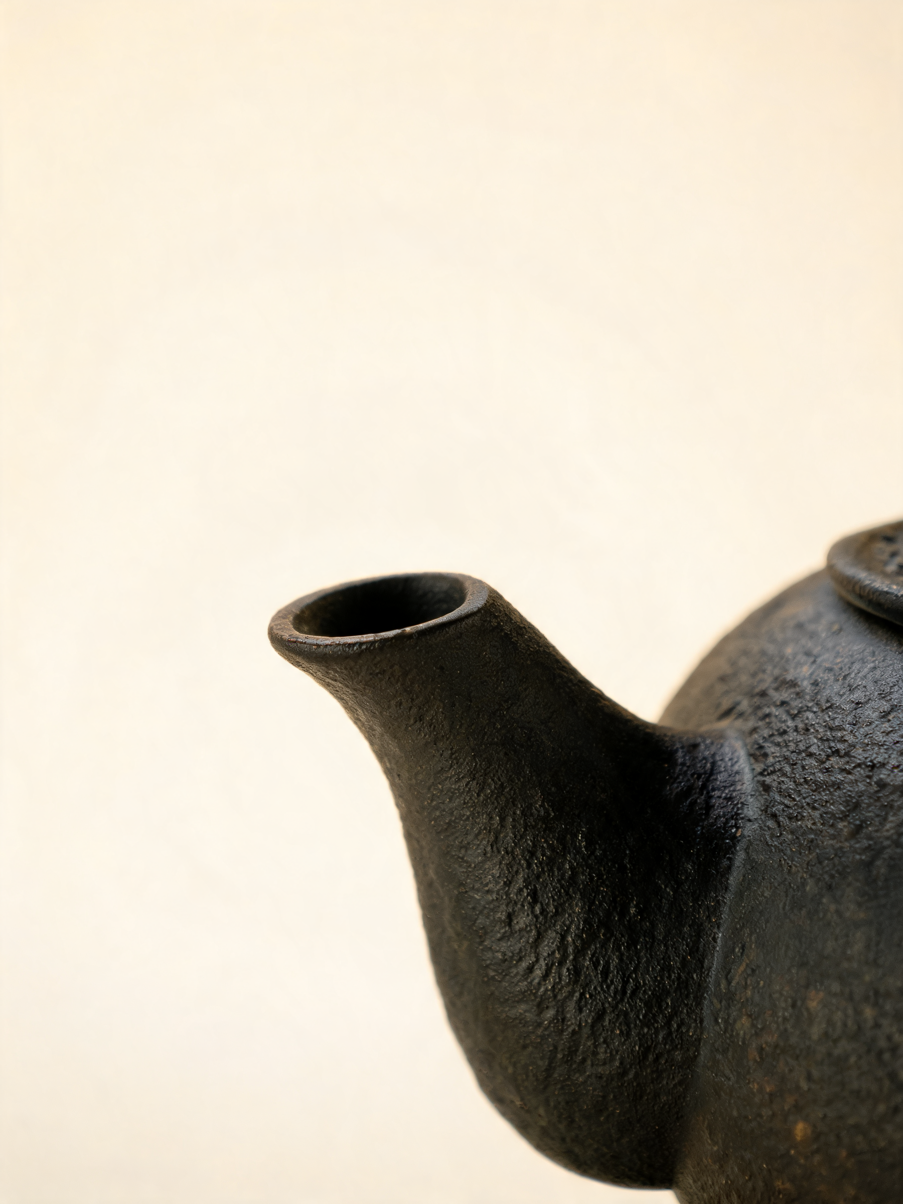 Yotsuba Cast Iron Tea Pot
