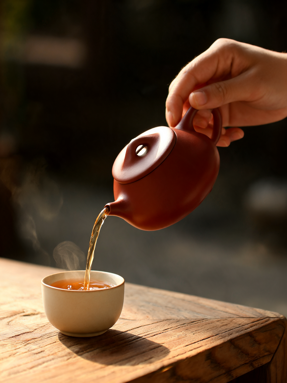 Detail of the Dahongpao clay surface on the Shipiao teapot